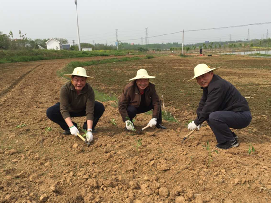 J9游戏(中国)-官方网站