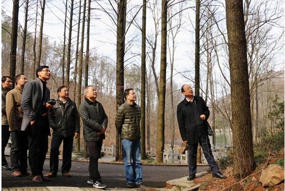 J9游戏(中国)-官方网站