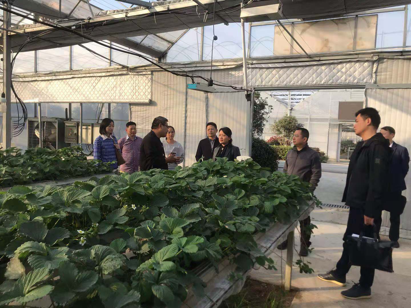 J9游戏(中国)-官方网站